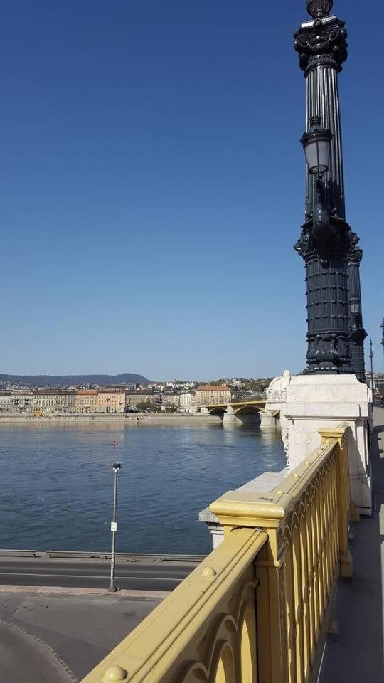 New, High Quality Apartment In The City Center Budapest Extérieur photo